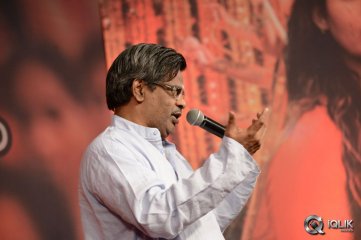 Anaamika Movie Audio Launch